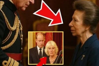 “I DON’T ACCEPT IT” – Camilla in PANIC After King Charles Bestows Princess Anne A NEW ROYAL TITLE But SNUBS Her in Unexpected Move!