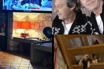 Jean-Luc Reichmann : à quoi ressemble sa superbe maison au calme dans les Yvelines