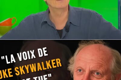 💥Une célèbre voix française s’est éteinte à 76 ans, ce comédien était le frère d’un acteur très populaire Il prêtait sa voix aux héros de notre enfance, il partageait son sang avec une légende du cinéma français, il appartenait à une lignée d’artistes — Dominique Collignon-Maurin, comédien discret mais omniprésent, est mort à 76 ans, laissant derrière lui la voix française de Luke Skywalker, d’Hadès, de Dustin Hoffman ou de Kevin Kline — frère de Patrick Dewaere et fils de Mado Maurin, il fut acteur, musicien, narrateur, metteur en scène, et l’âme sonore de générations de films — sa disparition signe la fin d’un héritage invisible mais inoubliable, celui des voix qui ont bâti notre imaginaire collectif.— la suite se lit sous les commentaires.👇