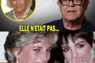 L’Absence Qui Vaut un Coup de Tonnerre : Le Silence d’Elton John, Hommage Éternel à Diana.