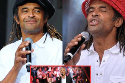 😢🏆 Yannick Noah, à 65 ans, derrière le sourire mythique : révélations troublantes, fortune disputée et vérités déchirantes qui bouleversent tout un pays 🇫🇷🔥