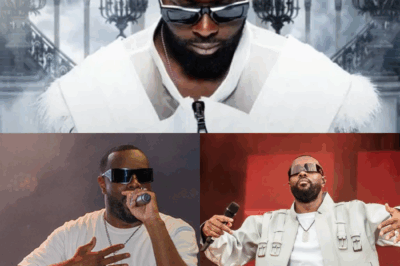 🚨 Gims secoue La Réunion : concert complet reporté à la dernière minute, un secret familial bouleversant derrière l’annulation, la tournée « Le Dernier Tour » en danger ? 🚨