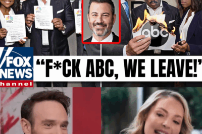 🔥 ABC, l’empire déchu : Comment un réseau de télévision autrefois vénéré s’est effondré sous le poids de la censure, du micromanagement et de la vengeance de ses propres stars. Leurs destins brisés ont allumé la mèche. Lisez la suite pour découvrir la vérité explosive. 🍿