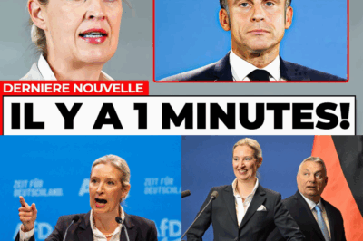 Alice Weidel : L’Avertissement Explosif qui Lie le Chaos Macron à la Sombre Prophétie pour l’Allemagne de Merz