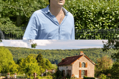 Alain-Fabien Delon : “J’ai plein de souvenirs d’enfance ici, avec mon père. Il y avait des chevaux, des cochons, une organisation, tout était beau, entretenu”, lasublime maison où il réside proche de Douchy 👇👇