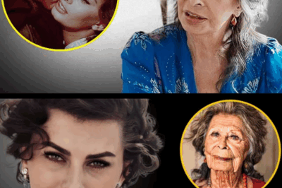 🌹😢 Sophia Loren a maintenant presque 90 ans et sa vie est triste 🕊️