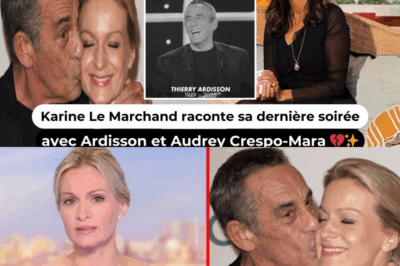 💥💔 Karine Le Marchand explose après la mort de Thierry Ardisson et révèle : “Ce n’était pas de l’amour !” Ses propos incendiaires sur le couple avec Audrey Crespo-Mara font scandale 😱