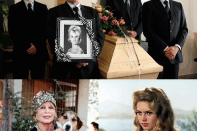 Brigitte Bardot : Le drame de sa vie et son regret éternel, la vérité sur sa relation brisée avec son fils unique