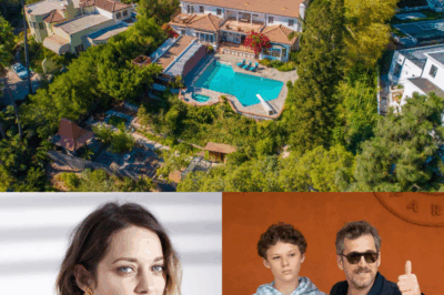 🌴🏡 « Ça va, merci » : Marion Cotillard, sa nouvelle vie dans une villa de 400 m² à Los Angeles, loin de Guillaume Canet