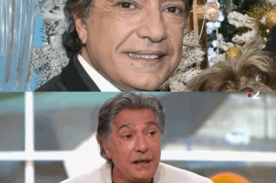 Miracle musical : La voix de Frédéric François réveille une fan d’un coma profond