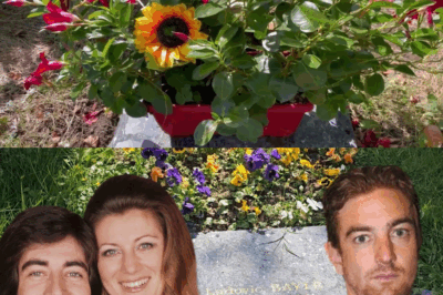 🪦💔 La tombe abandonnée de Ludovic Chancel-Bayle : le fils oublié de Sheila et Ringo repose seul au cimetière des Arches, dans une totale indifférence.
