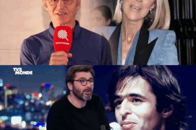 🌟🎤 Jean-Jacques GOLDMAN : SES CONFIDENCES INÉDITES 📖✨