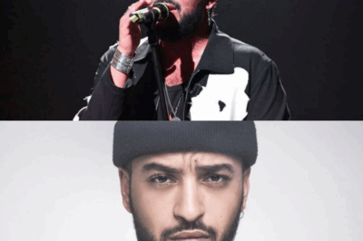 ⚖️🎤😔 Harcèlement lors d’un concert au Zénith : le chanteur Slimane condamné