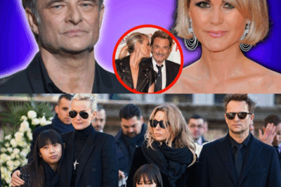 David Hallyday : La Colère d’un Fils, la Rancune Indélébile envers Laeticia et l’Héritage Tourmenté de Johnny
