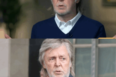 “🎸😲 À 82 ans, Paul McCartney nomme les six groupes qu’il détestait le plus – Une confession étonnante qui révèle les rivalités et préférences musicales de l’icône des Beatles, choquant ses fans et secouant l’univers de la musique.”