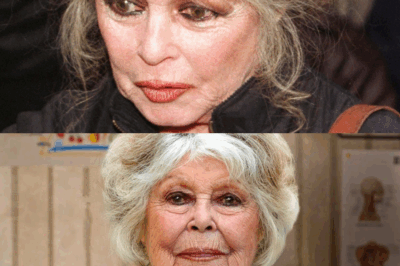 “😢💔 Brigitte Bardot à presque 90 ans : La triste réalité de sa vie après des décennies de gloire – Une légende du cinéma française se retrouve confrontée à la solitude et à des épreuves bouleversantes.”