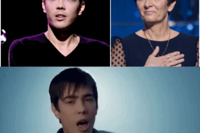 “💔🎤 Grégory Lemarchal : le message bouleversant de sa mère, un cri du cœur qui ravive la douleur du passé et met en lumière l’amour incommensurable d’une mère pour son fils, bien au-delà de la perte tragique.”