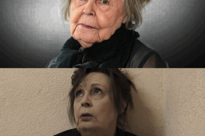 “Georgette Lemaire a maintenant plus de 80 ans et sa vie prend un tournant tragique : un regard bouleversant sur l’existence d’une grande figure de la chanson, marquée par des épreuves et un destin plein de solitude et de regrets.”