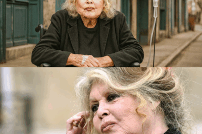 “Brigitte Bardot a 90 ans, sa vie n’est plus la même : un portrait poignant de la star qui a bouleversé le monde, aujourd’hui marquée par la solitude et un quotidien loin des feux de la rampe, mais toujours fidèle à ses convictions.”