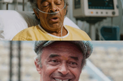 “Yannick Noah, 65 ans ! Il laisse derrière lui une fortune colossale qui a fait pleurer sa famille – Des révélations choquantes sur son héritage et les tensions qui ont déchiré ses proches après sa disparition !”