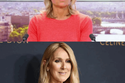 “Anne-Sophie Lapix face à Céline Dion : ‘La plus grande honte de ma vie’ – Une confession bouleversante, un moment embarrassant et une interview qui a marqué un tournant inattendu dans la carrière de la journaliste !”