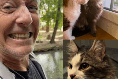 Jean-Luc Reichmann surprend ses fans : une déclaration d’amour inattendue… mais pas à qui vous croyez !