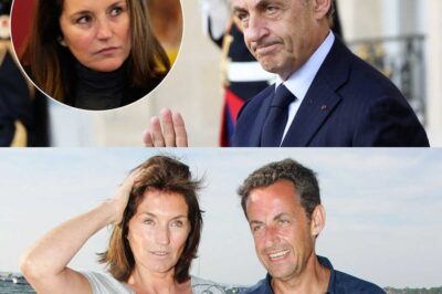 À 66 ans, Cécilia Attias avoue enfin ce que personne n’aurait jamais imaginé : les nuits de silence, les lettres jamais envoyées, et cette scène bouleversante où Nicolas Sarkozy aurait tout perdu 💔 Un aveu tardif, chargé de douleur et de vérité — les révélations continuent…