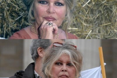 À 91 ans, Brigitte Bardot vit l’épreuve la plus difficile de sa vie 💔 – hospitalisée d’urgence après un malaise soudain, l’actrice légendaire aurait perdu connaissance avant l’arrivée des secours 😢… ses proches, bouleversés, parlent d’heures décisives et d’un silence pesant autour d’elle – les révélations continuent ci-dessous…