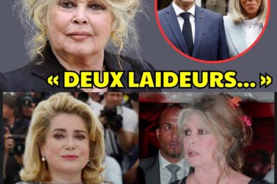 1️⃣ Drama absolu – À 91 ans, Brigitte Bardot brise le silence 😱 : sa phrase CHOC sur Emmanuel Macron fait trembler l’Élysée – coïncidence ou règlement de comptes caché ? Le secret derrière ses mots bouleverse tout… 👉 Details that change everything — keep reading.