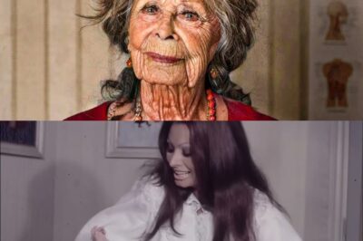 Tragedy – À presque 90 ans, Sophia Loren fait une révélation bouleversante 😢 : la star italienne vit dans l’ombre d’un passé qu’elle n’a jamais pu oublier… Coïncidence ou secret soigneusement caché ? Ce qu’elle confesse glace le sang. Details that change everything — keep reading.