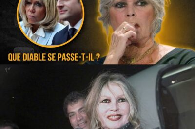 Explosive comeback – À 91 ans, Brigitte Bardot se déchaîne et révèle un secret glaçant sur la France 😱 “La laideur règne”, déclare-t-elle avec une colère que personne n’avait vue venir… Était-ce un simple coup de gueule ou une mise en garde cachée ? What are they hiding? Détails qui changent tout — keep reading.