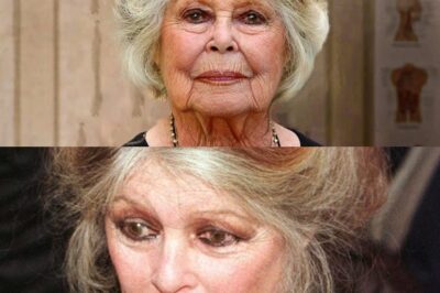 Drama bouleversant – Brigitte Bardot, presque 90 ans, enfermée dans la solitude et les regrets, sa santé fragile soulève des questions inquiétantes : coïncidence ou secret bien caché ? Que cache vraiment la star des années 60 derrière les murs de sa villa à Saint-Tropez ? Plus de révélations ci-dessous…