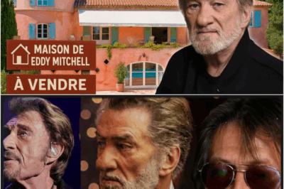 Eddy Mitchell : Le Dernier Homme Libre. Entre Guerre Contre Laeticia, Fortune Cachée et Retrait du Monde, l’Ultime Combat d’un Gardien de la Mémoire.