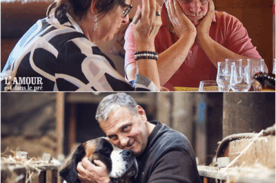 Laurent pète les plombs face à Françoise dans L’amour est dans le pré : “C’est un manque de politesse !” 😱