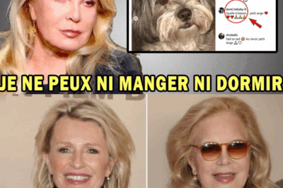 Sylvie Vartan Brise le Silence : “Douleur Infinie” à 81 Ans, la France Retient Son Souffle