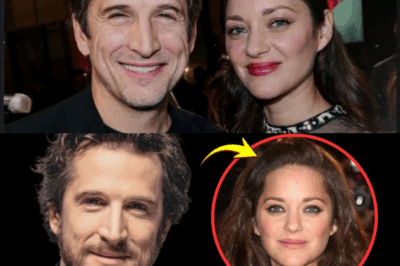 Marion Cotillard et Guillaume Canet : L’Empire Brisée d’un Amour D’exception Révélé par Leurs Films