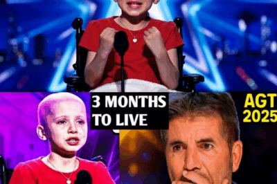 🌸 Dans un dernier acte de pureté et de courage, une fillette de 6 ans a chanté son chant d’adieu céleste, bouleversant tous ceux qui l’entouraient. Une voix angélique qui a fait taire le monde autour d’elle, un moment d’une émotion indescriptible. 🎶  😢 Découvrez l’histoire poignante de cette petite “lys” qui, avant de partir, a laissé un héritage de beauté et de paix à travers sa chanson d’adieu. 🌟
