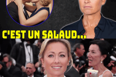 La Fin Tragique d’Anne-Sophie Lapix : La Double Vie de Son Mari et la Douloureuse Chute de l’Image Parfaite