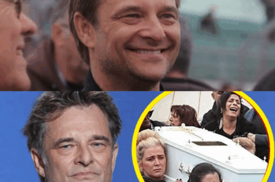 David Hallyday lance un appel déchirant après le vol de son chien Texan au Salon de l’Agriculture, Sylvie Vartan en larmes