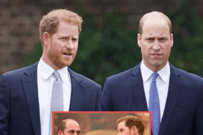 👑💔 Le prince William et le prince Harry profondément bouleversés 😢 par la mort de Jane Goodall 🐒✨, primatologue légendaire et amie proche de la famille royale, qui a partagé un moment unique avec Archie 👶💖