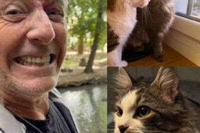 Il y a 2 heures – Jean-Luc Reichmann brise le silence avec une déclaration d’amour bouleversante 💔… mais pas adressée à sa femme ! Les fans sous le choc, les rumeurs s’emballent : tromperie, aveu caché ou simple malentendu ? 😱 Une scène filmée aurait tout changé… coïncidence ou révélation calculée ? 🔥 👉 Lire plus dans le premier commentaire 👇👇