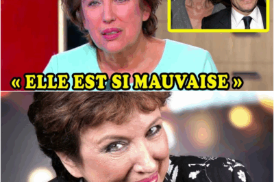 La Vérité Éclate : Le Secret Dévastateur de la Rupture entre Vanessa Paradis et Florent Pagny