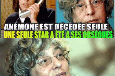 Anémone : La Mort Solitaire d’une Rebelle et l’Absence Cruelle du Splendid