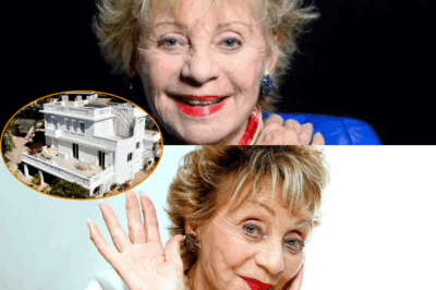 Annie Cordy : “C’est un challenge financier” – 5 ans après sa mort, voici ce que devient sa villa blanche sur les hauteurs de Cannes à Vallauris 🏡✨