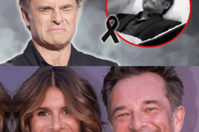 David Hallyday : L’Écho Silencieux d’un Amour Paternel, Entre Blessures et Réconciliation
