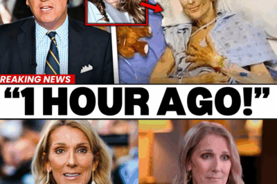 💎 Céline Dion laisse derrière elle une fortune qui bouleverse sa famille jusqu’aux larmes. Des révélations émouvantes sur l’héritage de la star dévoilent l’impact profond et émotionnel de sa succession sur ses proches. 😢  🌟 Découvrez comment la légende de la chanson continue de marquer la vie de ceux qu’elle aimait, entre patrimoine, souvenirs et émotions intenses. ✨