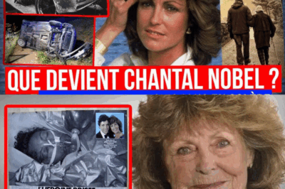 En une nuit, Chantal Nobel a perdu sa carrière et a été handicapée à 80 % à vie – À 73 ans, elle se confie enfin sur ce drame. 😔 Un accident tragique a bouleversé la vie de l’actrice, la privant de sa carrière et de sa mobilité. Découvrez son témoignage poignant et la force qu’elle a trouvé pour surmonter cette épreuve. 💔💪