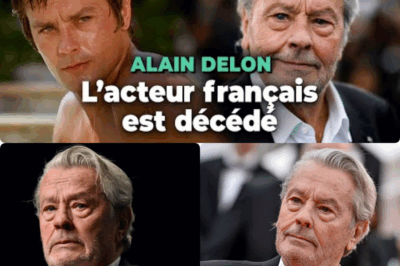 Drame Delon : Ari Boulogne retrouvé mort à Paris, seul et oublié. Fils illégitime du monstre sacré du cinéma, il a passé sa vie à réclamer une reconnaissance qui ne viendra jamais. Une enquête pour “non-assistance à personne en danger” est désormais ouverte, tandis qu’Alain Delon garde le silence absolu. Seul Anthony Delon a réagi, évoquant “une tragédie que personne ne voulait voir”. Un destin maudit, marqué par la solitude, la rancune et le poids d’un père absent… 😔 Tous les détails déchirants de cette affaire dans notre article en commentaire.