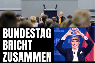 “Bundestag wird NEU AUSGEZÄHLT!? – Regierung offiziell gescheitert! Schockierende Wendung im deutschen Parlament – Was passiert jetzt mit der Zukunft der Regierung?”