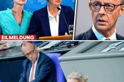 “Regierung gestürzt – AfD fordert Neuauszählung der Stimmen! Wagenknecht und Weidel blockieren März, Neuwahlen drohen! Was bedeutet das für die Zukunft der deutschen Politik?”